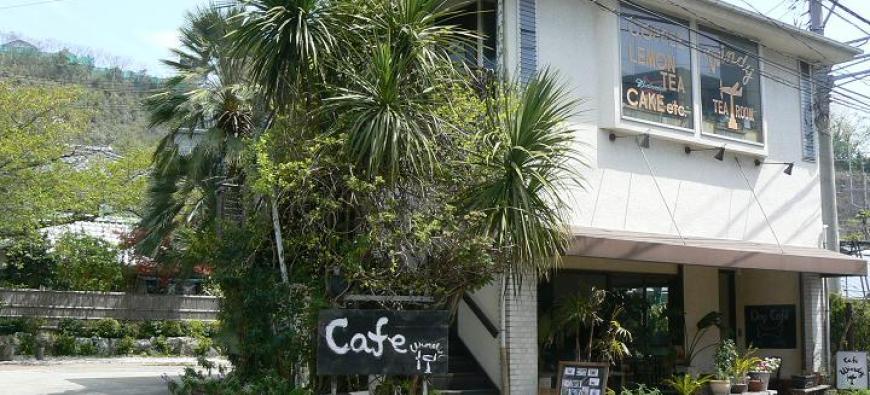 Cafe Windy カフェウィンディ 横須賀 衣笠 横須賀周辺 横浜ドッグカフェ 猫カフェ特集